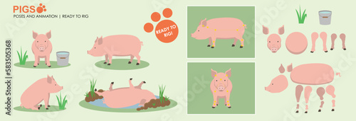 Pig vector character ready for animation and to rig. Farm animal collection multiple poses, piglet cartoon character. 