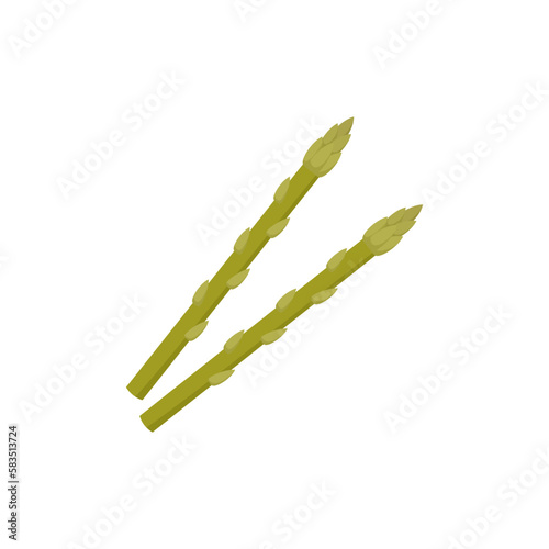 Asparagus isolated on white background. Vector illustration.