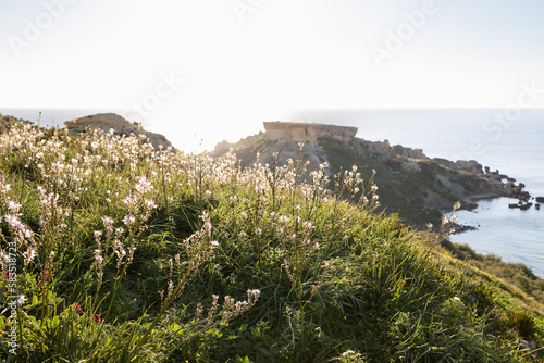 Spring on Qarraba Bay, Malta, Europe