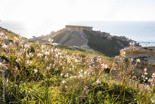 Spring on Qarraba Bay, Malta, Europe