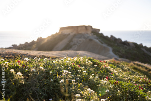 Spring on Qarraba Bay, Malta, Europe