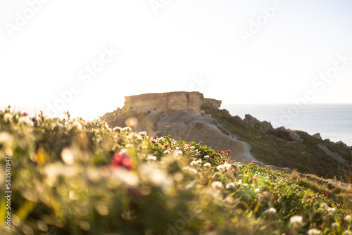 Spring on Qarraba Bay, Malta, Europe