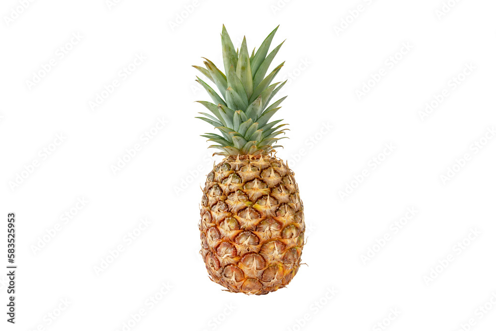 Pineapple tropical whole fruit isolated transparent png. Ripe Ananas comosus. Pineapple tropical whole fruit isolated transparent png. Ripe Ananas comosus.