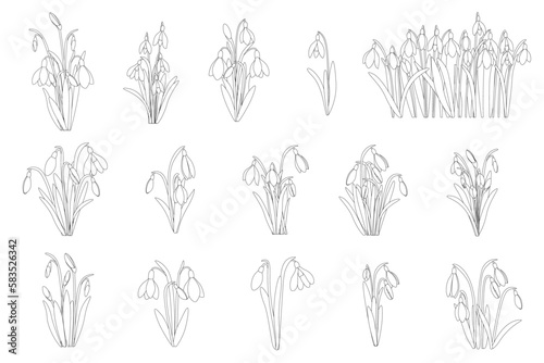 First Spring Flowers, Snowdrops, lineart, black and white set of 15 flowers