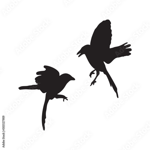 Fototapeta Naklejka Na Ścianę i Meble -  silhouettes of birds together