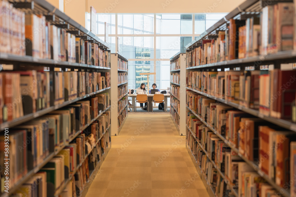 library shelves with books library shelves with books