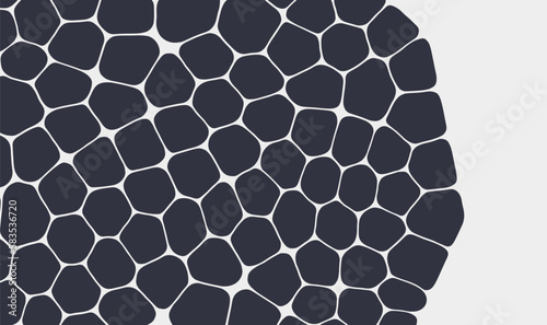 Abstract scientific background with cells or cell membranes. Black and white design. Vector illustration for print, textile, fabric, package, wrapping or cover.