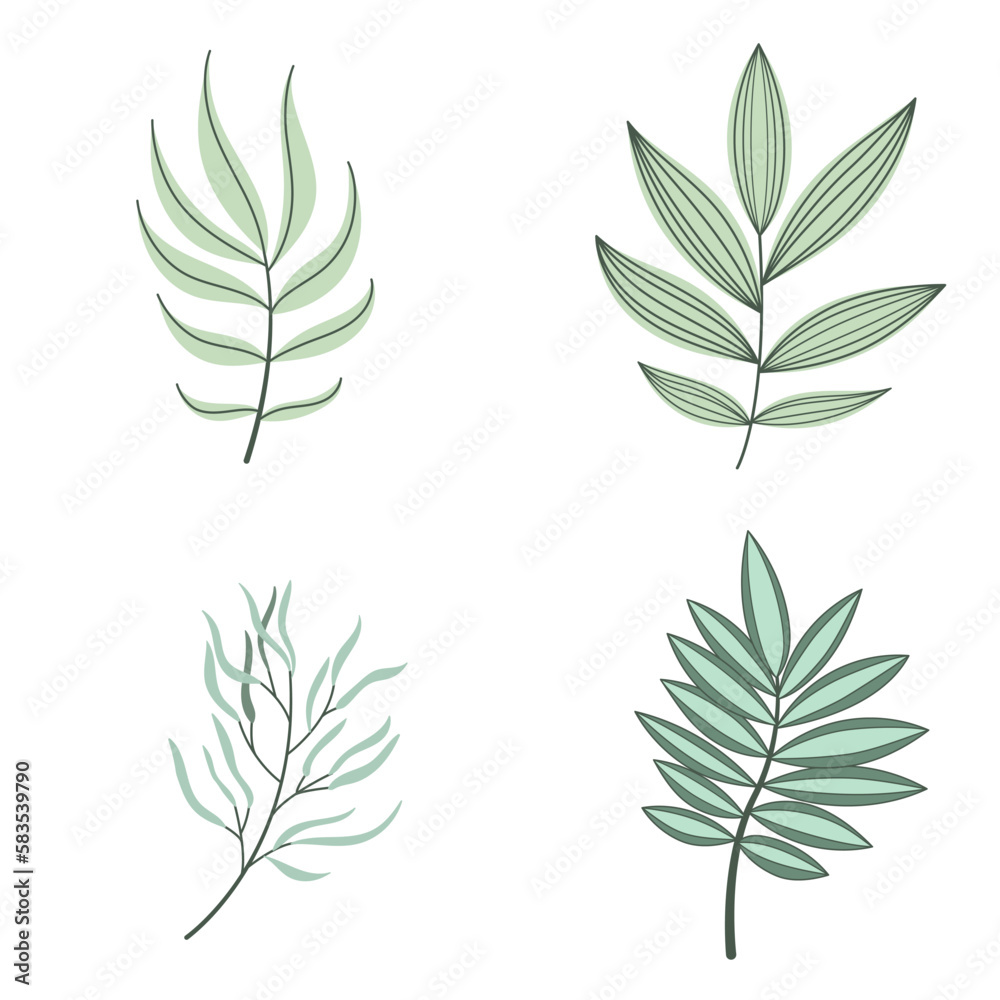 Fototapeta premium Vector leaves set. Leaves illustration