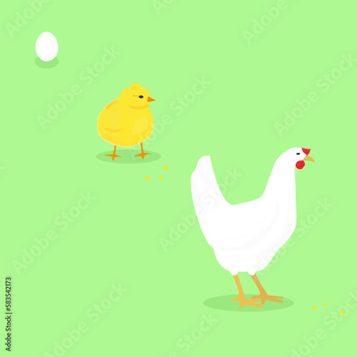 Egg, chick and chiken on green background. Vector illustration