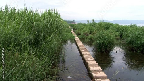 Wallpaper Mural Stunning landscape view of Fuxianhu Lake in China is simply and stone path. If you want to experience natural beauty of China, Fuxianhu Lake is place that is sure to captivate and inspire you. Torontodigital.ca