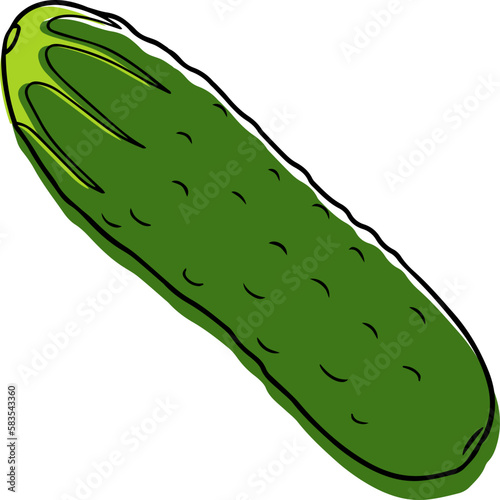 Illustration of a cucumber in a linear style.