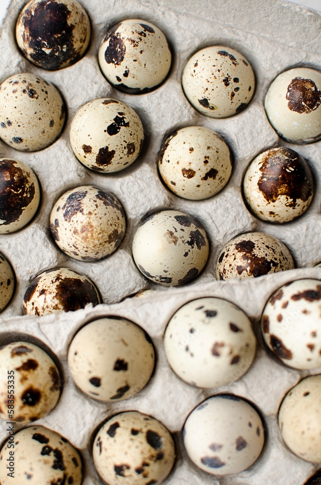 Quail eggs in a paper tray Quail eggs in a paper tray