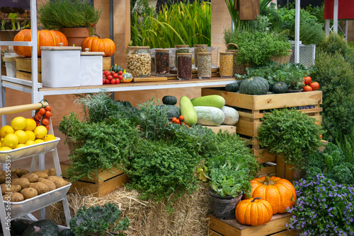 Variety of fruits and vegetables