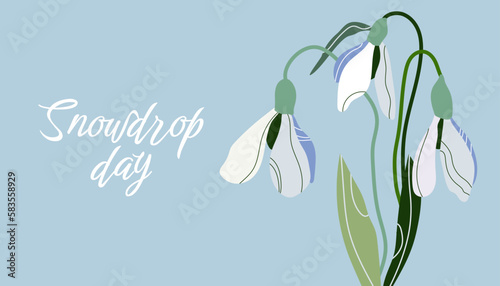 Snowdrop Day. Flowers are white snowdrops with leaves. Spring is coming. Vector illustration isolated on blue background