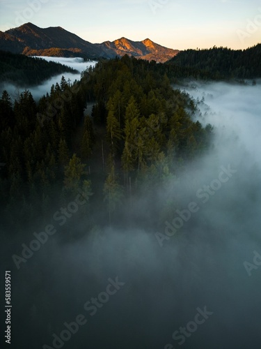 Vertical aerial view of forests and mountains on a foggy day in Mariazell city, Austria