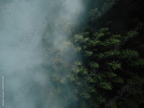 Scenic aerial view of forests with pine trees on a foggy day in Mariazell city, Austria