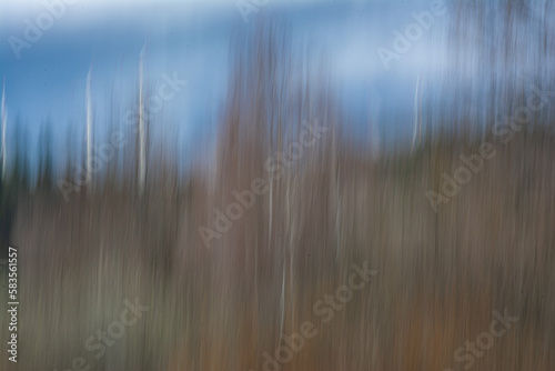 Abstrakte Fotografie eines Laubwaldes mit Birken. Im Hintergrund Windräder