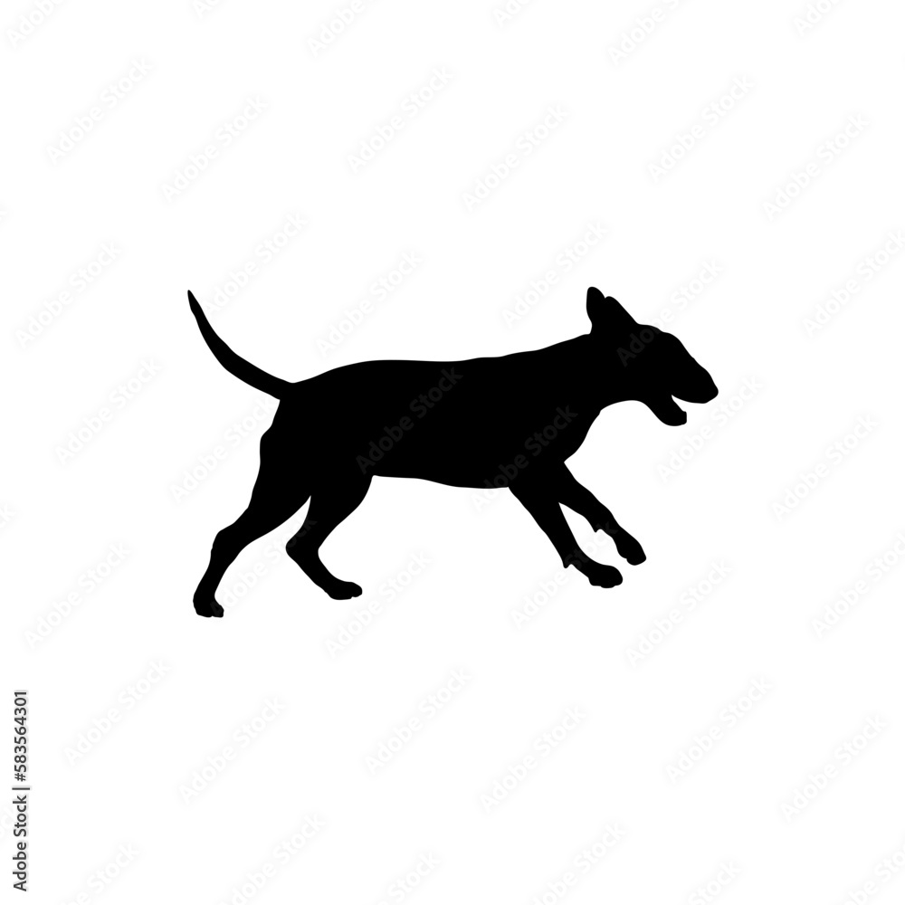 bull terrier runs Silhouette Dog