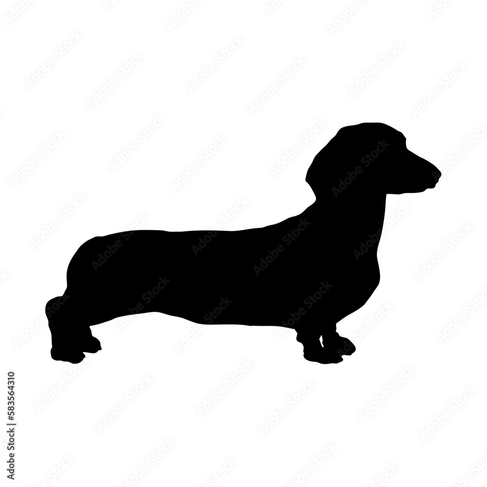 dachshund Silhouette Dog