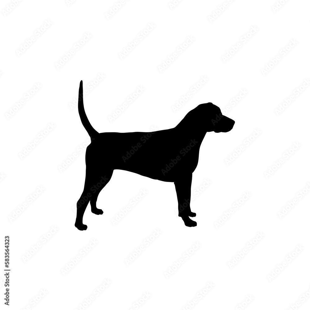 English foxhound  Silhouette Dog