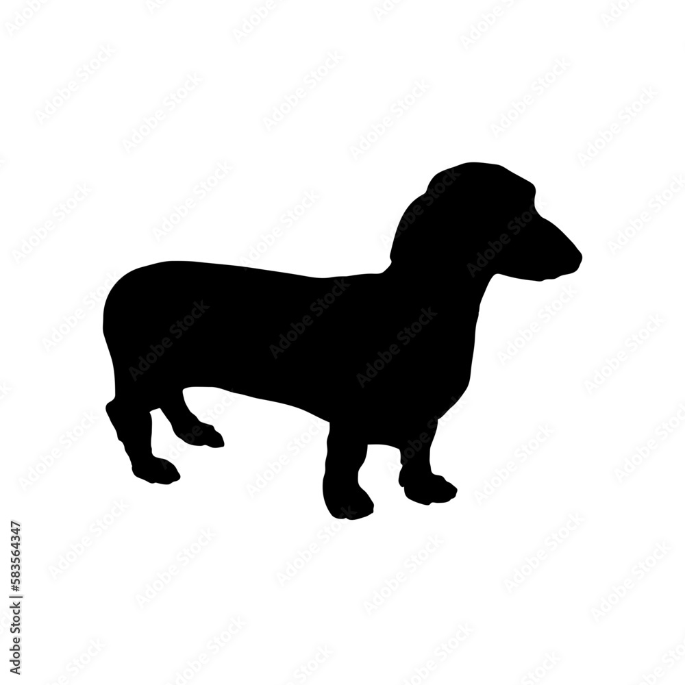 dachshund Silhouette Dog