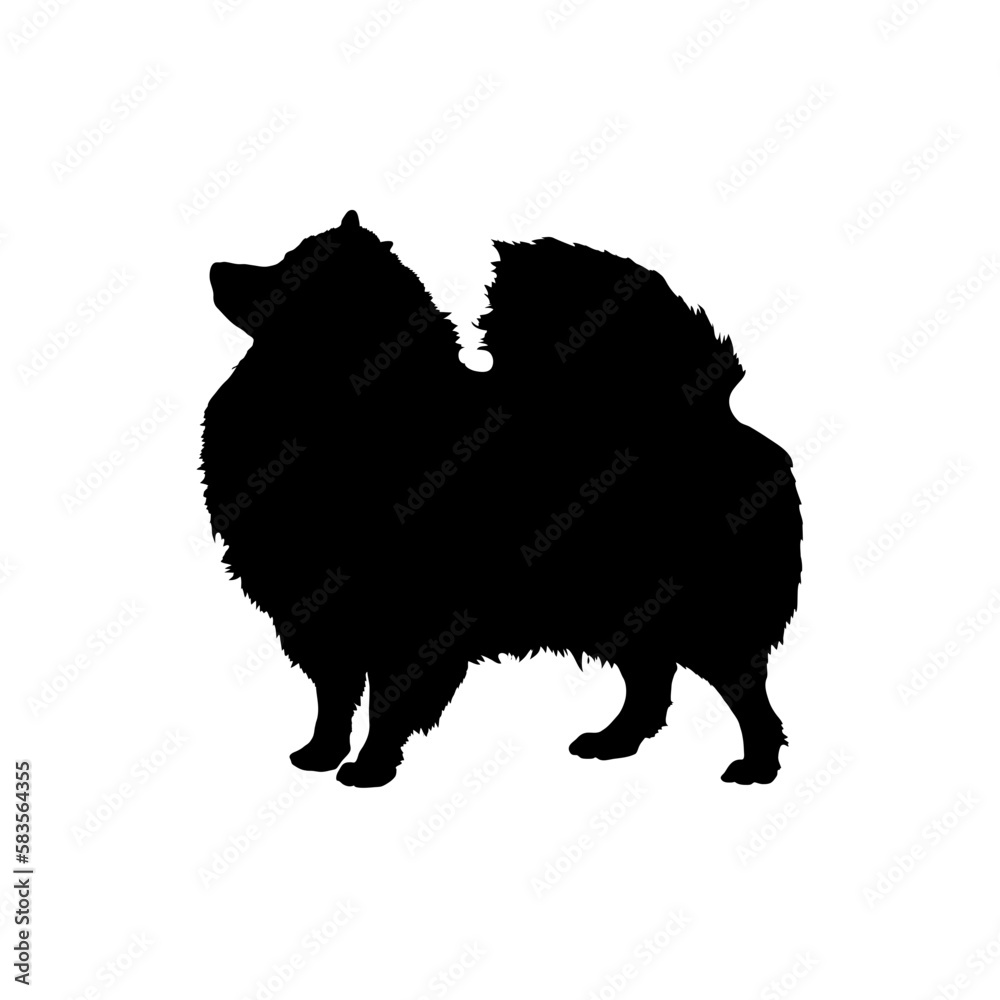 Pomeranian Spitz Silhouette Dog Pomeranian Spitz Silhouette Dog