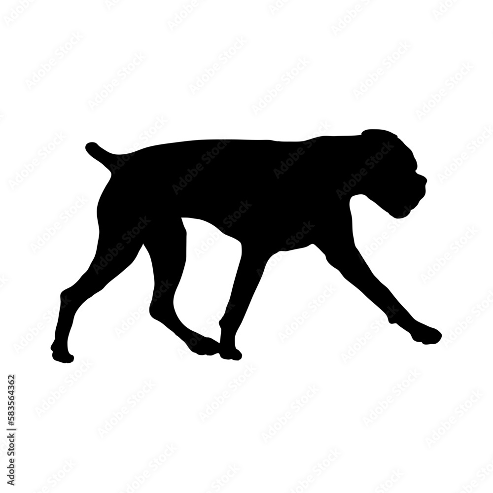 boxer Silhouette Dog