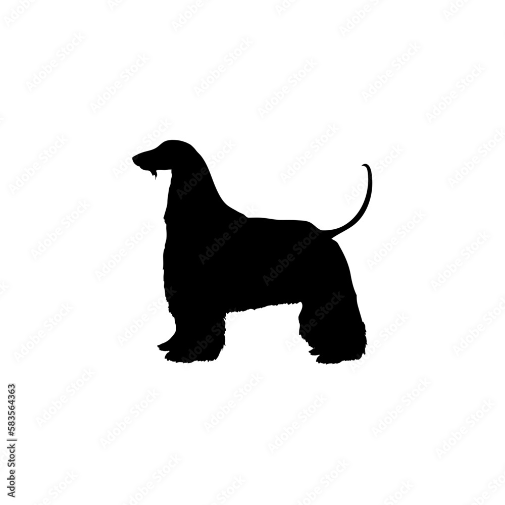 Afghan Hound Silhouette Dog