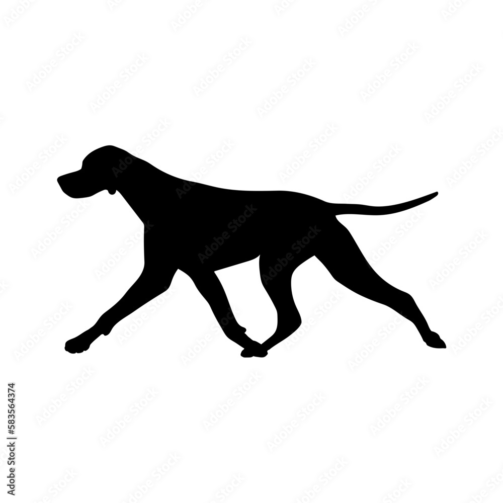 Deutsche Dogge runs Silhouette Dog