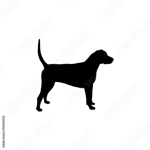 English foxhound Silhouette Dog