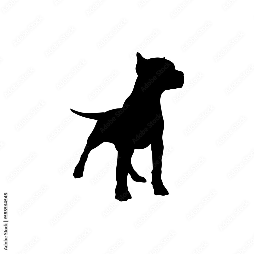 Pointer English Silhouette Dog