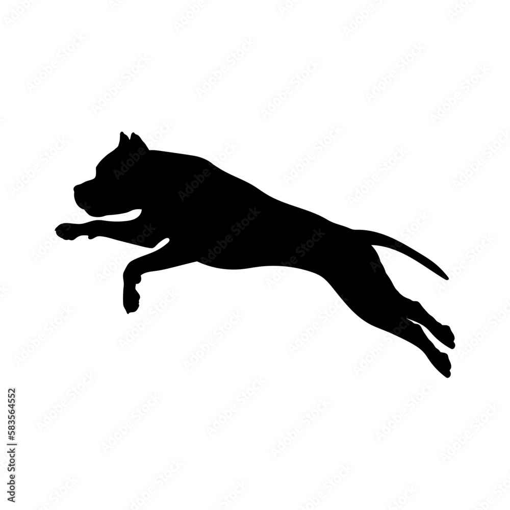  pit bull jump Silhouette Dog