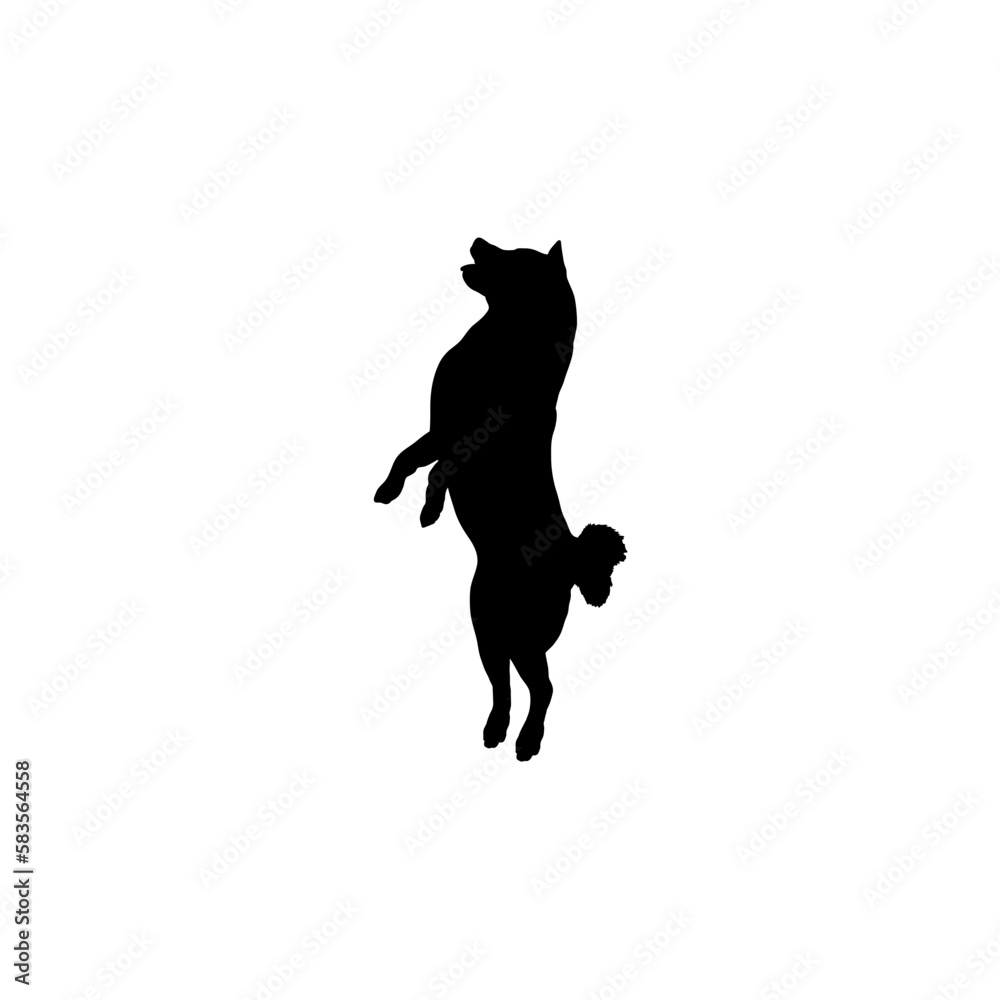 shiba inu jumps Silhouette Dog