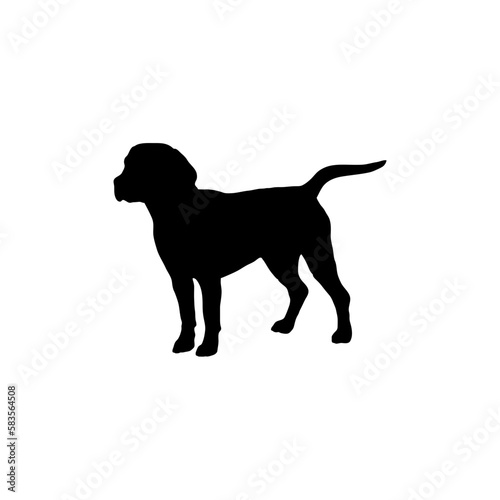  labrador Silhouette Dog