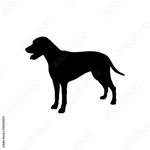 Pointer English Silhouette Dog