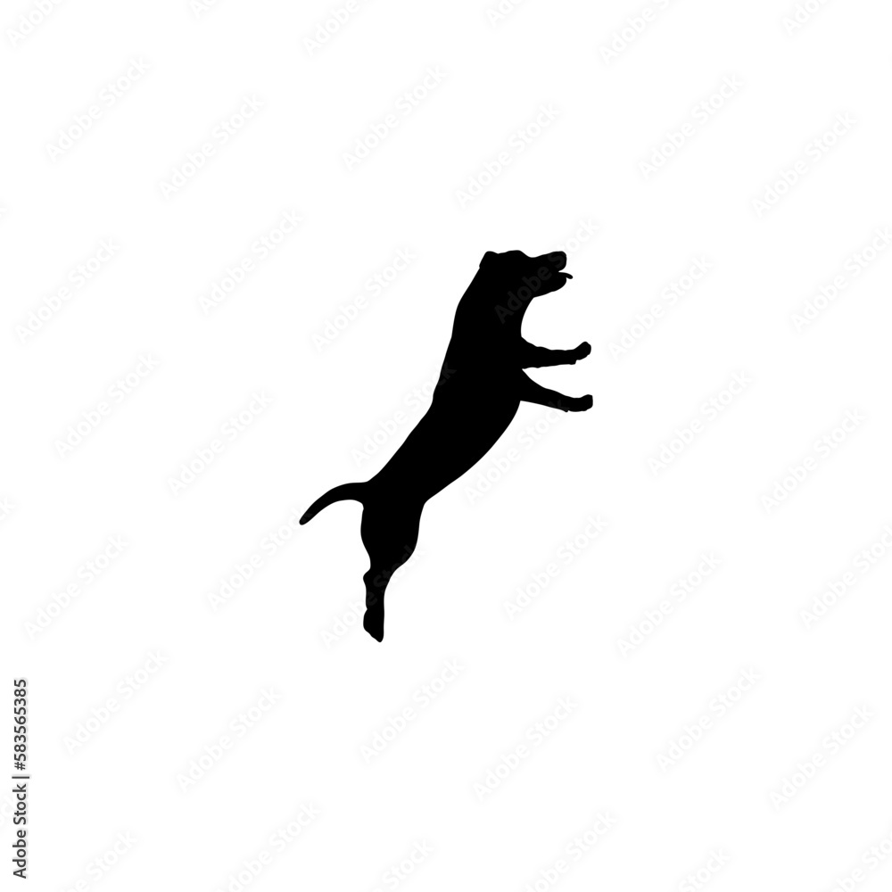 dog on two legs dog on two legs
