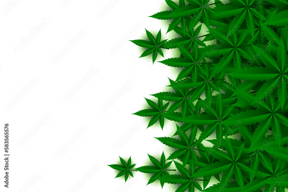 Fototapeta premium green cannabis leaves on white background design