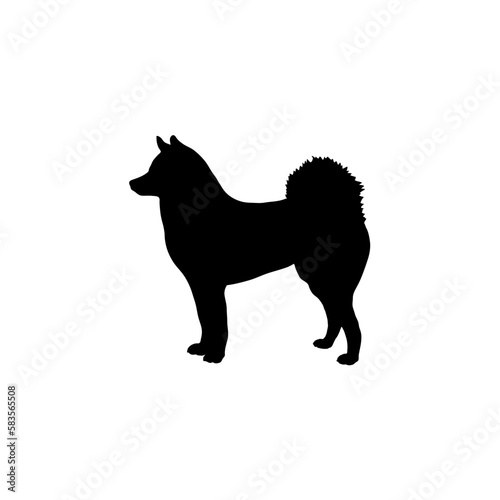 laika