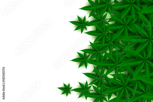 green cannabis leaves on white background design