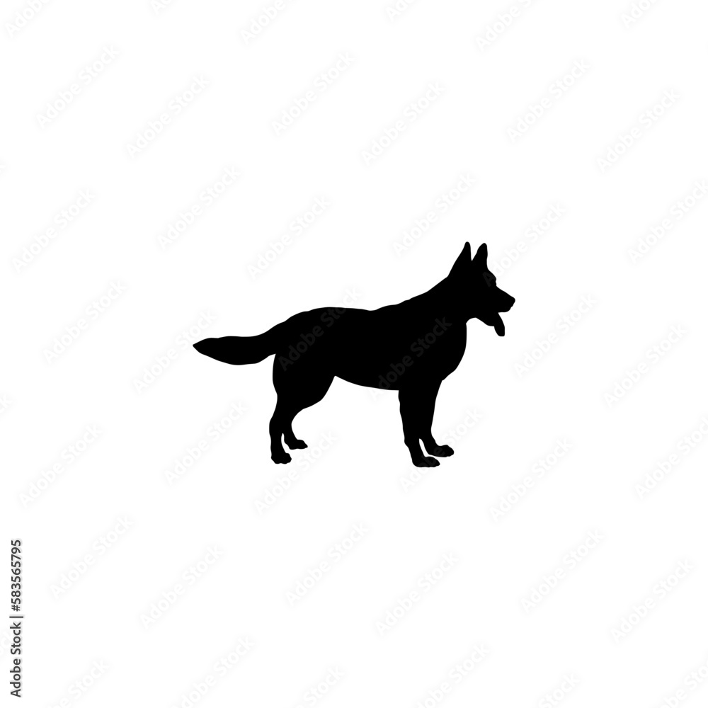 german shepherd 