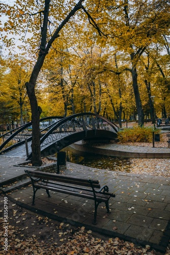 Vertical shot of autumn in a beautiful park with bench, bridge, and river in Niska Banja, Serbia