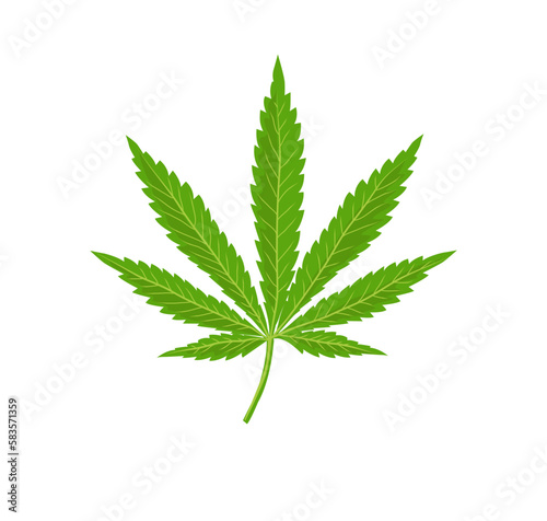 Vector of Cannabis leaf in white background