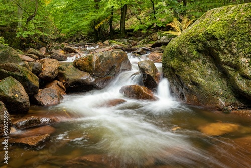 Scenic shot of a rocky river with a silky water effect in a forest