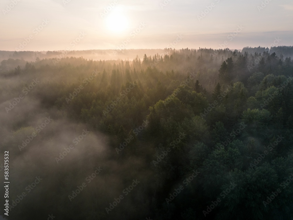 Aerial view of a foggy forest in the countryside during sunrise