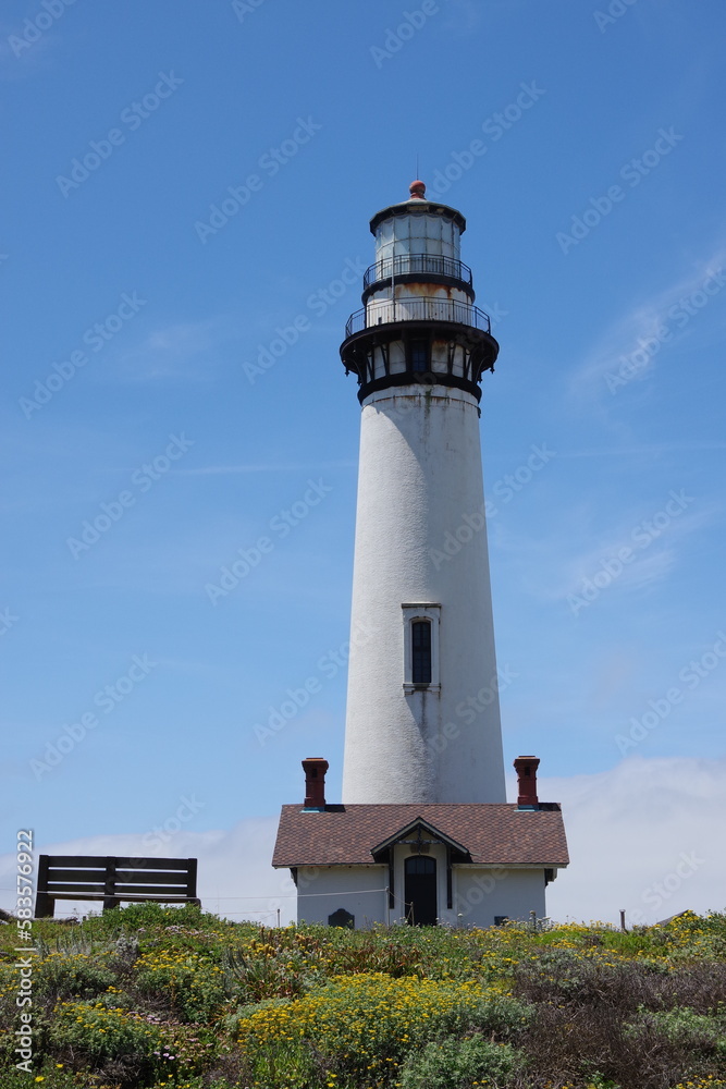 Pigeon Point lighthouse in northern central California in a public park along Highway