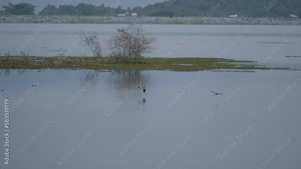 Beautiful lake view in Thailand with birds flying around Beautiful lake view in Thailand with birds flying around