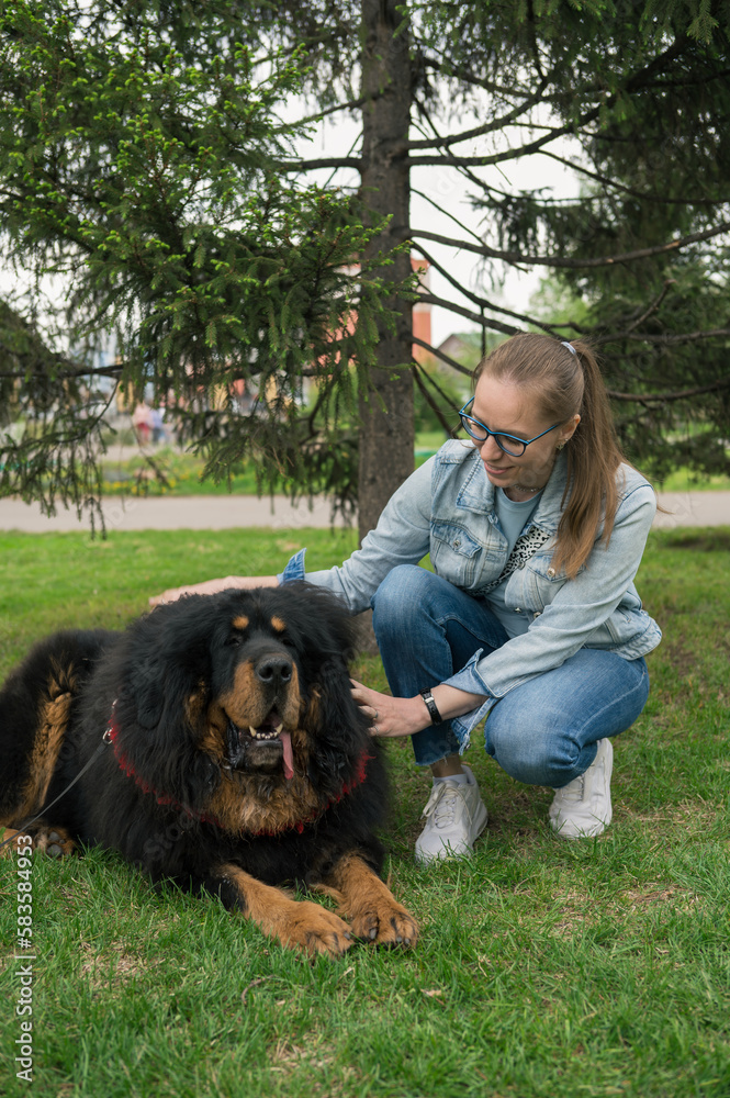 Happy woman walking with tibetan mastiff in park Happy woman walking with tibetan mastiff in park