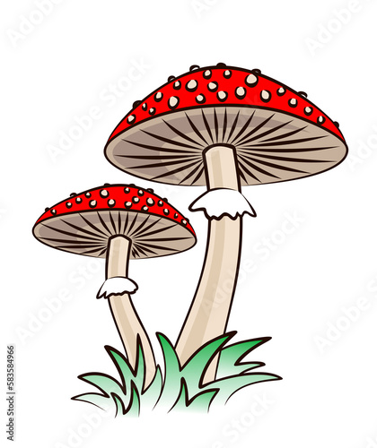The forest mushrooms with a green grass.