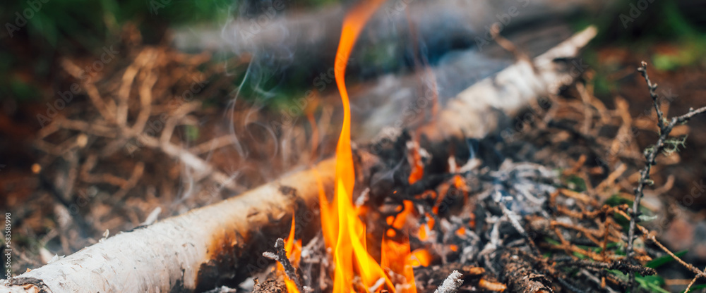 Burning branches and brushwood in fire close-up. Atmospheric warm background with orange flame of campfire and blue smoke. Beautiful full frame image of bonfire. Firewood burns in vivid flames. Burning branches and brushwood in fire close-up. Atmospheric warm background with orange flame of campfire and blue smoke. Beautiful full frame image of bonfire. Firewood burns in vivid flames.