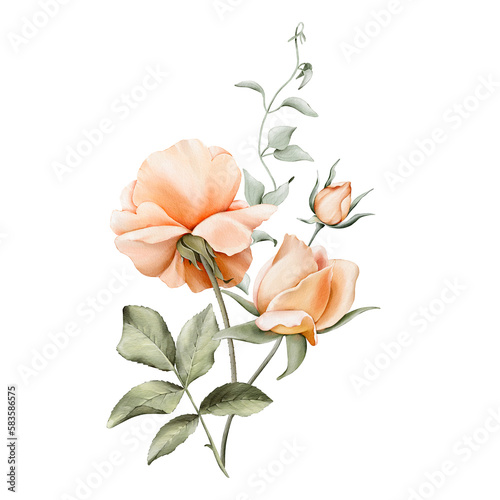 Watercolor floral bouquet of peach and orange roses and green leaves. Illustrations  isolated on white background for wedding invitations  postcards